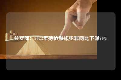 公安部:2023年持枪爆炸犯罪同比下降20%